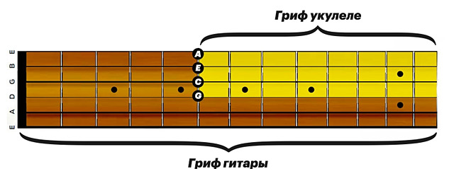   Строй укулеле збігається з ладом звичайної гітари на п`ятому ладу, тобто ви можете зіграти на укулеле все, що можете зіграти на звичайній гітарі від п`ятого ладу 